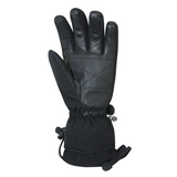 GANTS SKI HOMME POWDER KING 2G259 NOIR GRIS AUCLAIR MAHEU GO SPORT PAUME