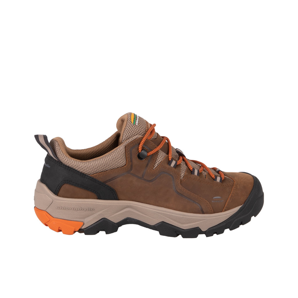 Go sport discount chaussures homme