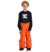 pantalon-isole-junior-banshee-orangeade-dc-shoes-snow-pant-boys-sales-outerwear-maheu_go_sport-03