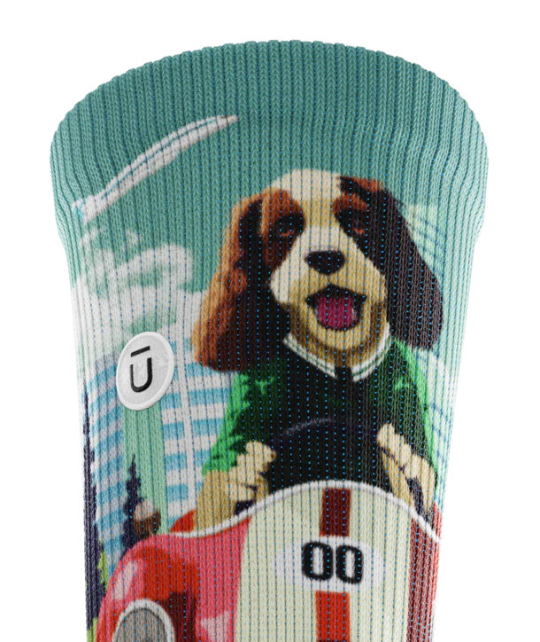 CHAUSSETTES ADULTE, FUR-MULA WOOF