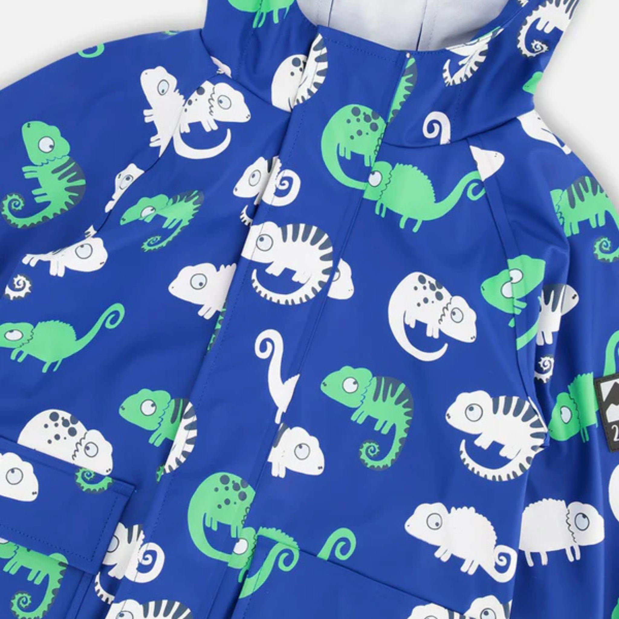 BOY'S RAINCOAT, CHAMELEON 2-4 YEARS